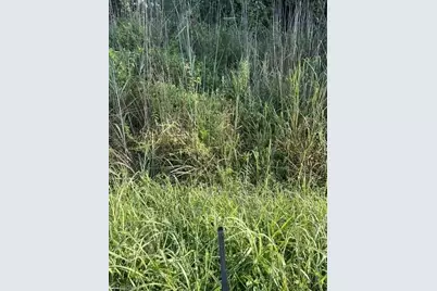 0 Mount Bethel Church Road, East Bend, NC 27018 - Photo 14