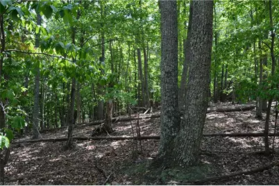2122 Cherokee Camp Road, Reidsville, NC 27320 - Photo 8