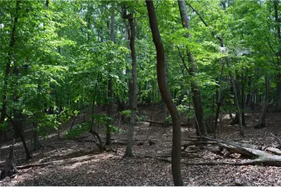 2122 Cherokee Camp Road, Reidsville, NC 27320 - Photo 12