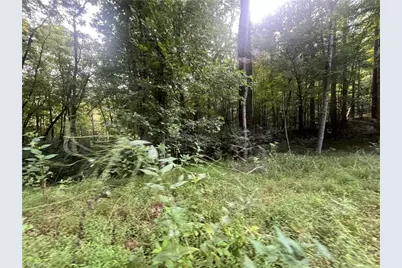 1170 Timber Ridge Road, Westfield, NC 27053 - Photo 16