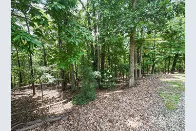 Tbd Timber Ridge Road, McGrady, NC 28649 - Photo 14