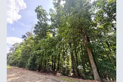 Tbd Timber Ridge Road, McGrady, NC 28649 - Photo 8