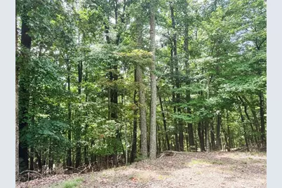 Tbd Timber Ridge Road, McGrady, NC 28649 - Photo 2