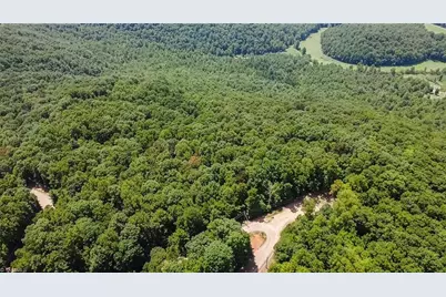 Tbd Timber Ridge Road, McGrady, NC 28649 - Photo 6