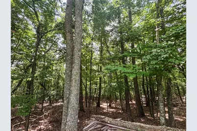 Tbd Timber Ridge Road, McGrady, NC 28649 - Photo 10