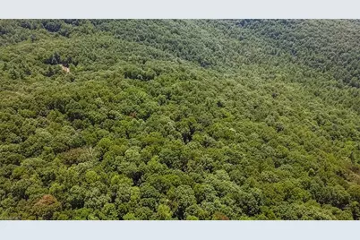 Tbd Timber Ridge Road, McGrady, NC 28649 - Photo 18