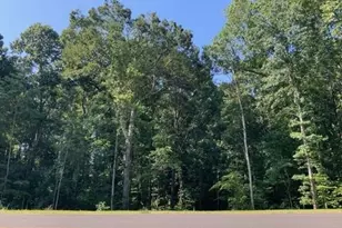 7521 Whisper Holw Ln, Lewisville, NC 27023 - Photo 1