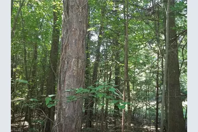 0 Clyde King Road, Seagrove, NC 27341 - Photo 6