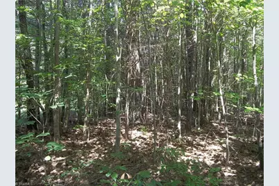 0 Clyde King Road, Seagrove, NC 27341 - Photo 8