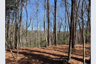Lot 2 Sutters Ridge Road, McGrady, NC 28649 - Photo 6