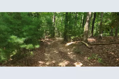 0 Lyons Road, Roaring Gap, NC 28668 - Photo 10