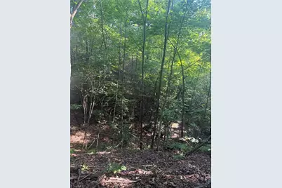 0 W US Highway 421, Purlear, NC 28665 - Photo 20