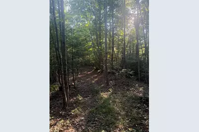 0 W US Highway 421, Purlear, NC 28665 - Photo 22
