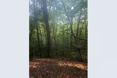0 W US Highway 421, Purlear, NC 28665 - Photo 14