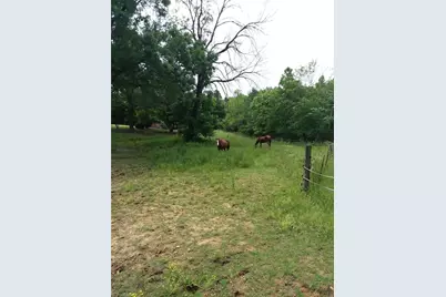 1753 Smith Farm Road, Lexington, NC 27292 - Photo 6
