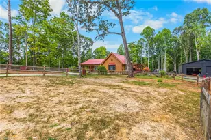 4323 Rader Dr, Climax, NC 27233 - Photo 14