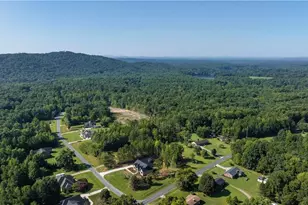 2137 Patriot Woods Dr, Asheboro, NC 27205 - Photo 50