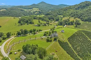450 Nc Hwy 88 E, Jefferson, NC 28640 - Photo 6