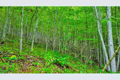 Tbd W Deep Ford Road, Lansing, NC 28643 - Photo 2