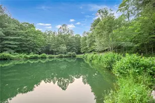 142 Fawn Ln, Purlear, NC 28665 - Photo 46