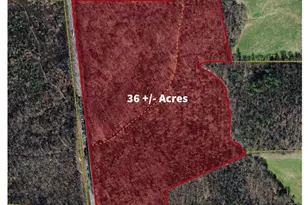 N/A Red White and Blue Rd, Roaring River, NC 28669 - Photo 1