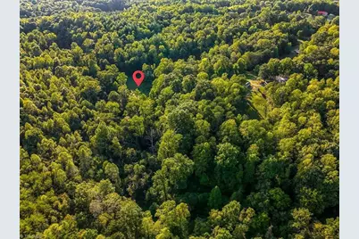 558 Throckmorton Road, Madison, NC 27025 - Photo 40