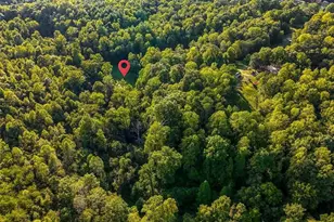 558 Throckmorton Rd, Madison, NC 27025 - Photo 40