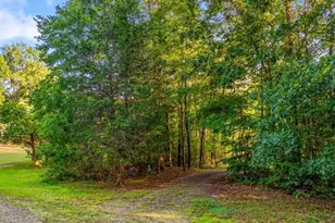 558 Throckmorton Rd, Madison, NC 27025 - Photo 32