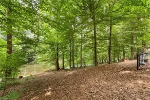204 Tullyries Ln, Lewisville, NC 27023 - Photo 4