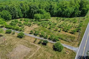 771 Nc Hwy 150, Reidsville, NC 27320 - Photo 10