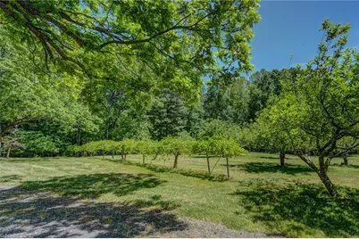 771 Nc Highway 150, Reidsville, NC 27320 - Photo 22