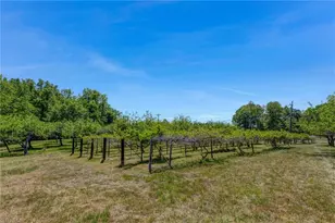 771 Nc Hwy 150, Reidsville, NC 27320 - Photo 32