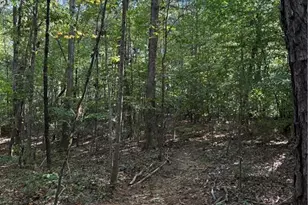 5102 Waynick Meadow Rd, Asheboro, NC 27205 - Photo 6