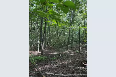 5102 Waynick Meadow Road, Asheboro, NC 27205 - Photo 4