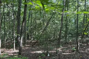 5102 Waynick Meadow Rd, Asheboro, NC 27205 - Photo 4