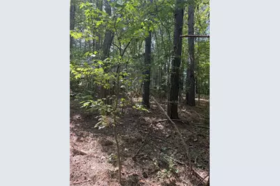 0000 Cook Florist Road, Reidsville, NC 27320 - Photo 4