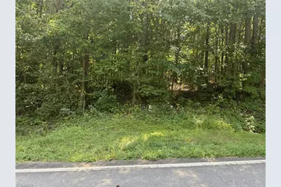 0000 Cook Florist Road, Reidsville, NC 27320 - Photo 1