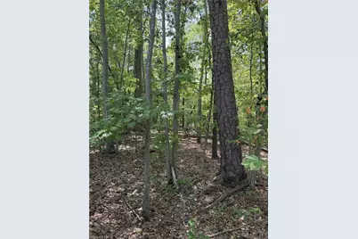 000 Mizpah Church Road, Reidsville, NC 27320 - Photo 2