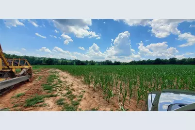 3641 US Highway 21, Hamptonville, NC 27020 - Photo 32