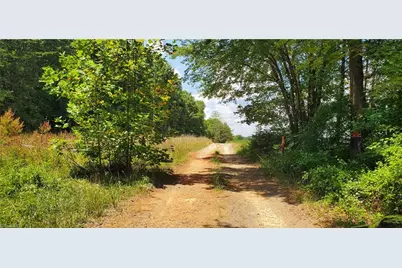 3641 US Highway 21, Hamptonville, NC 27020 - Photo 8