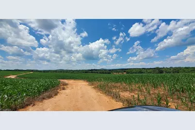 3641 US Highway 21, Hamptonville, NC 27020 - Photo 22