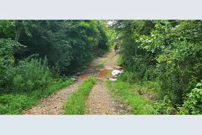 3641 US Highway 21, Hamptonville, NC 27020 - Photo 30