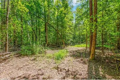 0 Alma Drive, Winston-Salem, NC 27105 - Photo 10