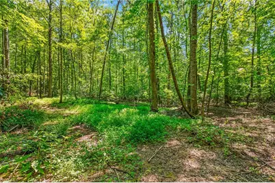 0 Alma Drive, Winston-Salem, NC 27105 - Photo 6