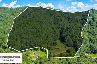 420 Roaring Fork Rd, Creston, NC 28615 - Photo 2