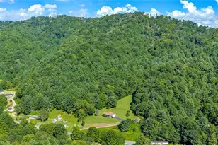 420 Roaring Fork Rd, Creston, NC 28615 - Photo 46