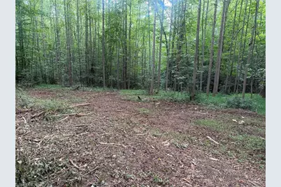 N/A Red White and Blue Road, Roaring River, NC 28669 - Photo 22