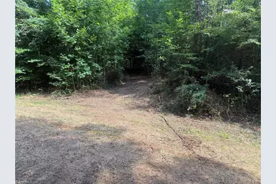 N/A Red White and Blue Road, Roaring River, NC 28669 - Photo 8