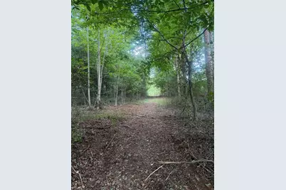 N/A Red White and Blue Road, Roaring River, NC 28669 - Photo 20