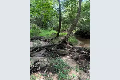 N/A Red White and Blue Road, Roaring River, NC 28669 - Photo 14